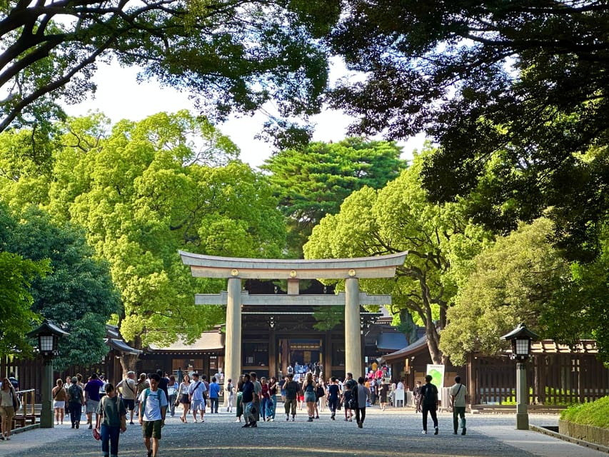 Tokyo: Meiji Jingu Shrine and Shinto Culture Walking Tour - Meiji Shrine Time With the Main Hall and Worship Steps