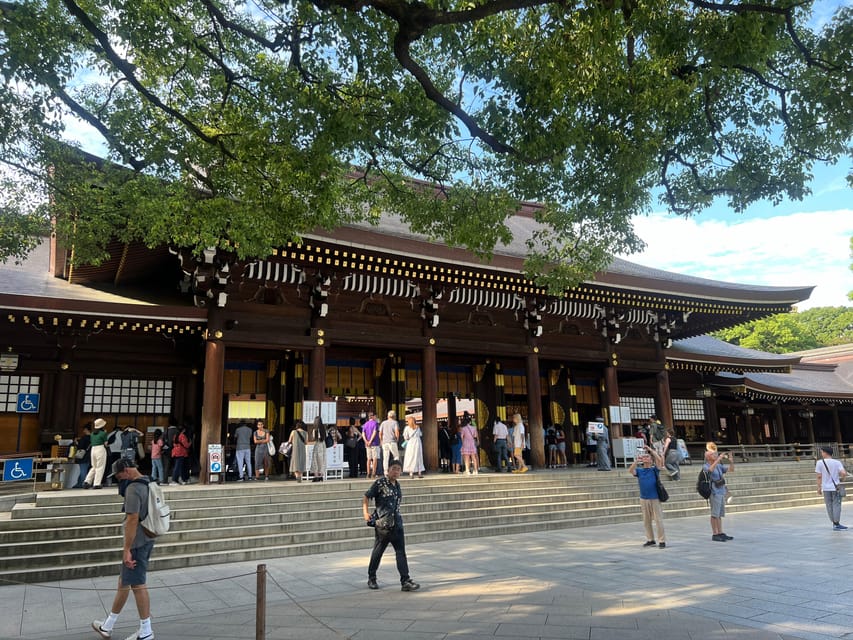 Tokyo: Meiji Jingu Shrine and Shinto Culture Walking Tour - The Sacred Forest of 100,000 Trees, Where Nature Runs the Clock
