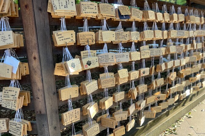Tokyo: Meiji Shrine and Shinto Culture Walking Tour - Price and value: what $18 buys you