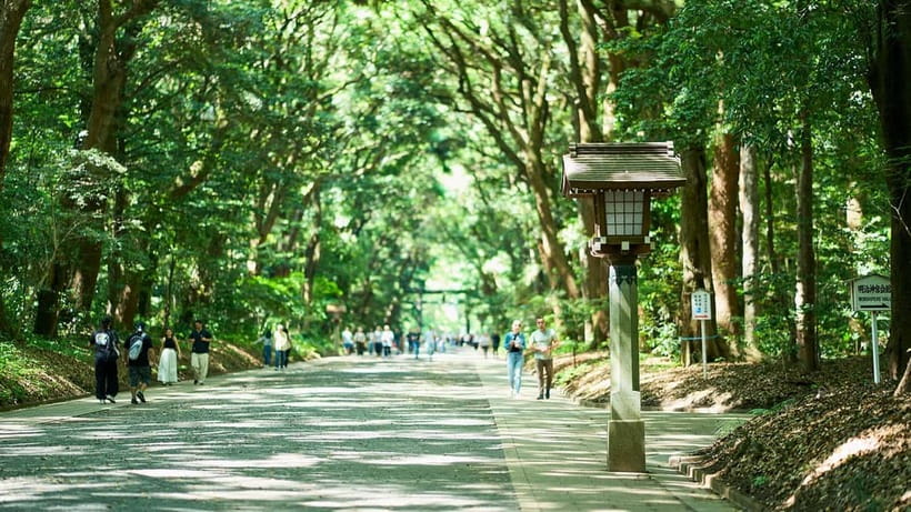 Tokyo: Meiji Shrine Walking Tour — Shinto & Imperial System - Sacred barrels and the meaning behind them