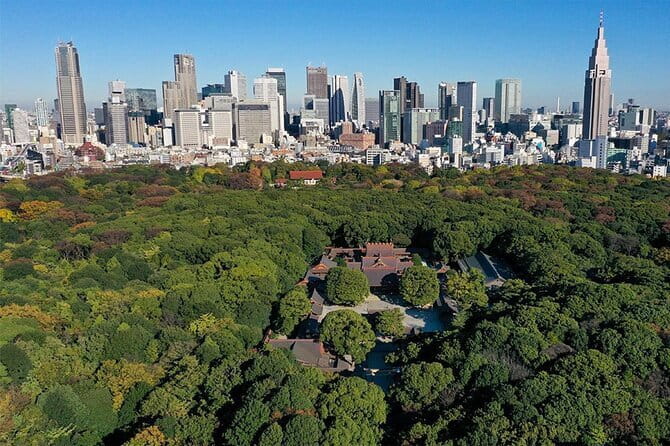 Tokyo: Meiji Shrine Walking Tour — Shintoism & Imperial System - The big torii you can’t ignore, and why cypress matters