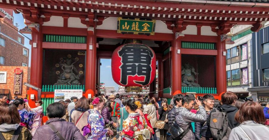 Tokyo: Morning Sightseeing Bus Tour - Meiji Jingu: sacred forest mood right inside the city