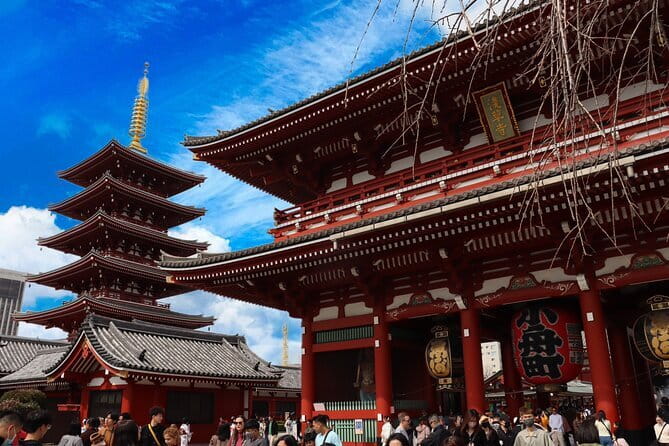 Tokyo Morning Tour : Meiji Shrine, Asakusa and Fish Market - Price and Value: Why $72.67 Can Make Sense