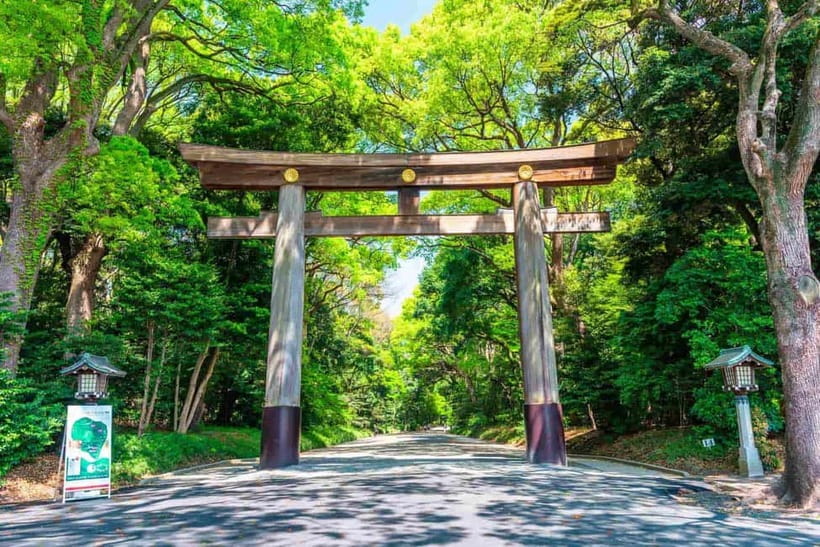 Tokyo Morning Tour: Meiji Shrine, Asakusa & Fish Market - Meiji Jingu Shrine: Peaceful Grounds and a Fire Ceremony Moment