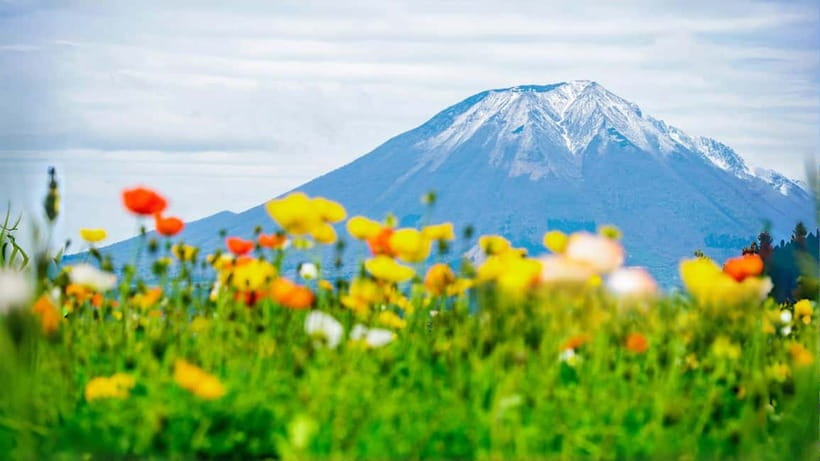 Tokyo: Mount Fuji 5th Station & Onsen Day Trip - Key points that make this day trip click