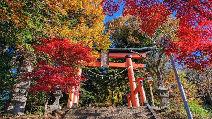 Tokyo: Mount Fuji 5th Station & Onsen Day Trip - Price and value: what $50 buys you, and what it does not
