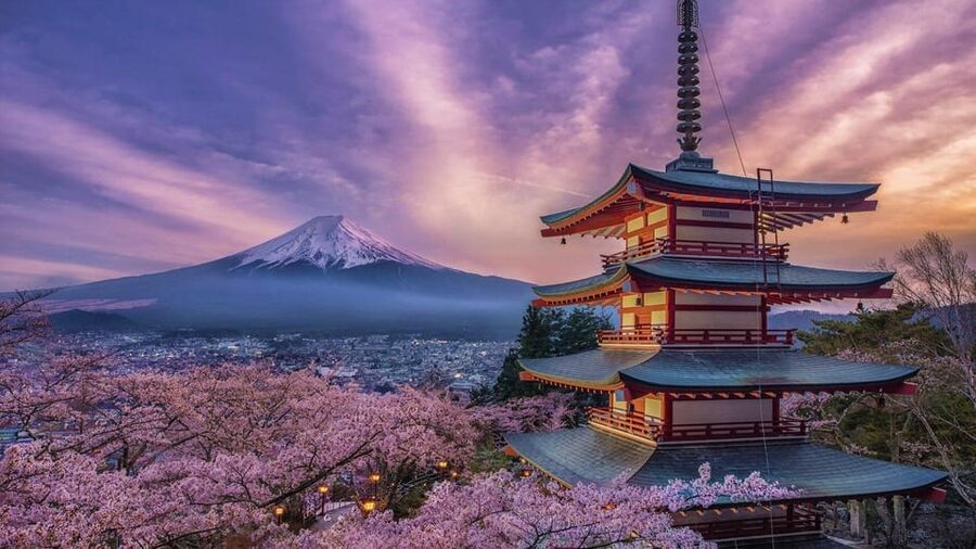 Tokyo: Mount Fuji & Hakone Private Tour with Guide - Kitaguchi-hongu Fuji Sengen Shrine and its red-torii photo power