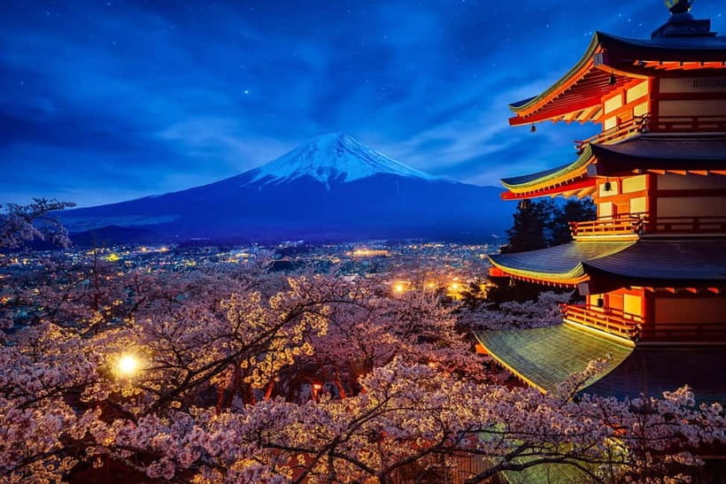 Tokyo: Mount Fuji & Hakone Private Tour with Guide - Hakone Ropeway: volcanic scenery and the line reality check