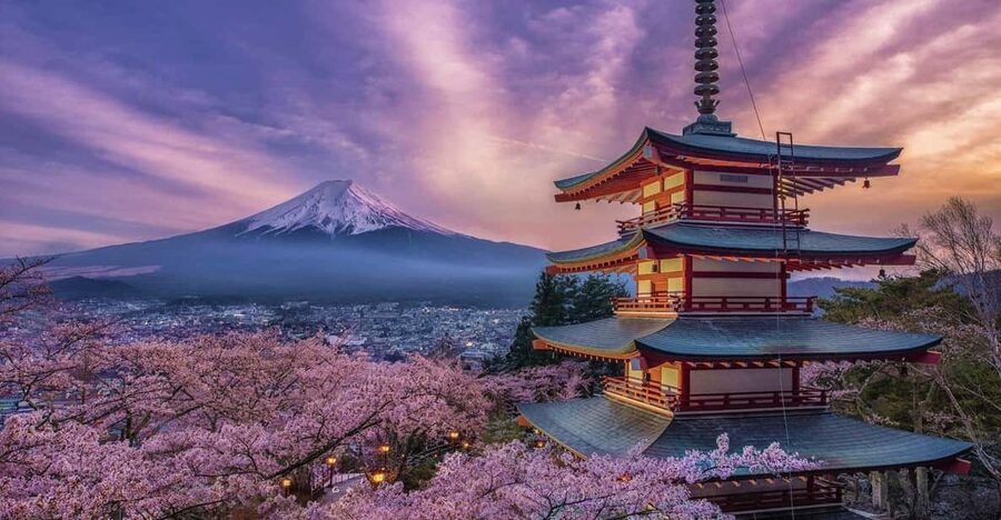 Tokyo: Mount Fuji & Hakone Private Tour with Guide - Fuji Subaru Line 5th Station: chasing the clear-cloud window