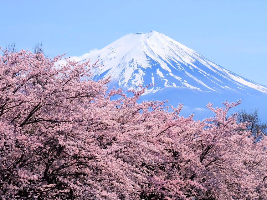 Tokyo: Mt. Fuji 5th Station & Hakone Cruise 1-Day Bus Tour - Coach ride to Fuji: how the 5th station experience really works