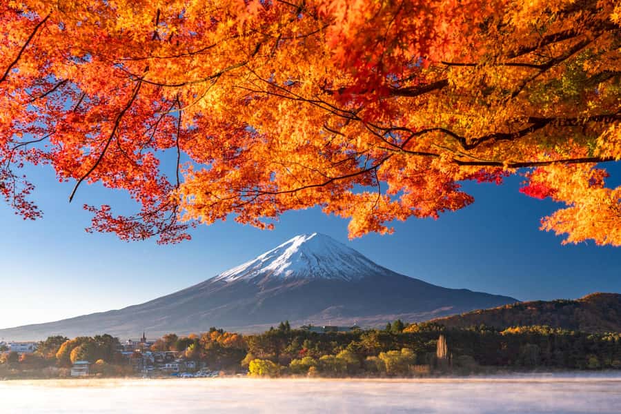 Tokyo: Mt. Fuji 5th Station, Kawaguchiko Tour w/ Cable Car - Key Highlights You Can Actually Use