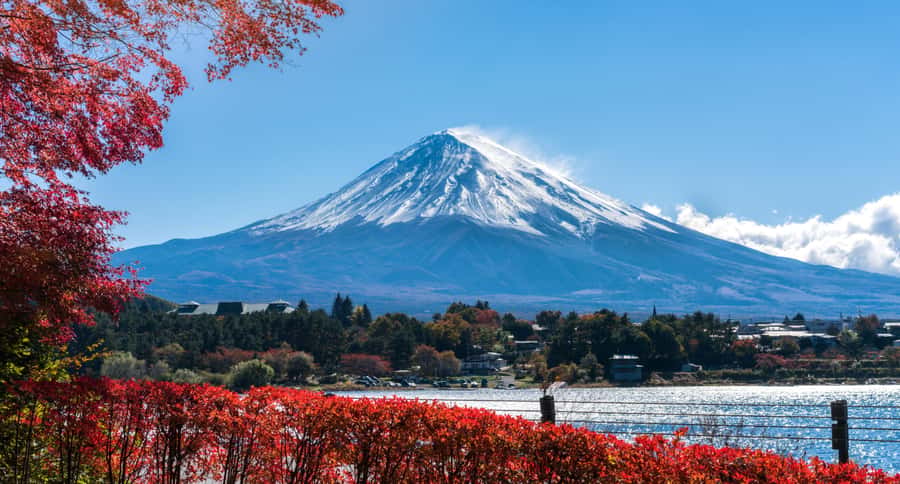 Tokyo: Mt. Fuji 5th Station, Kawaguchiko Tour w/ Cable Car - Kawaguchiko Panoramic Ropeway: Fast Views With a Real Payoff