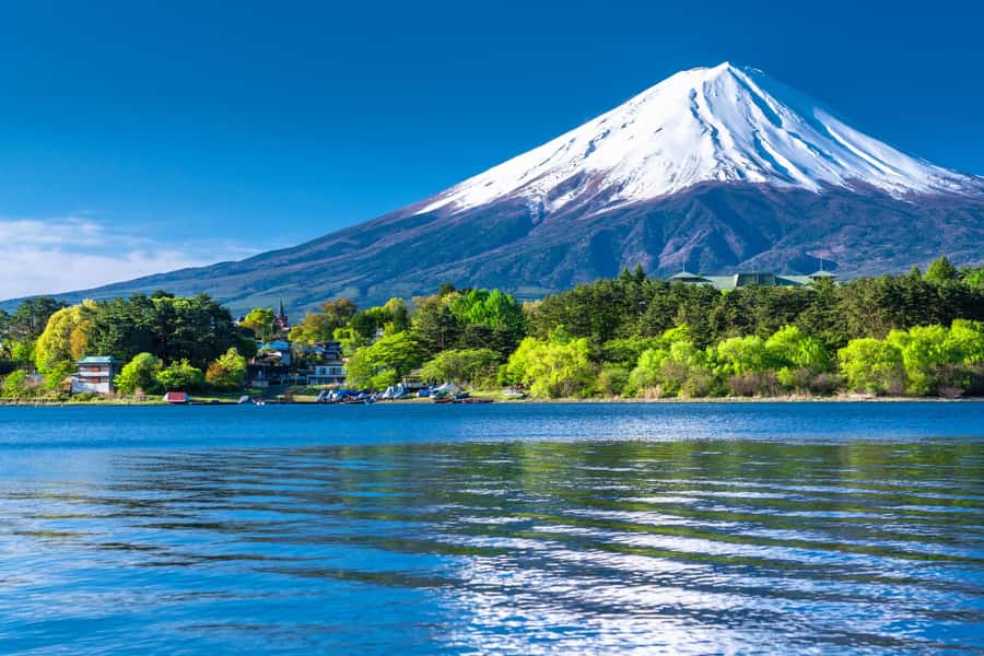 Tokyo: Mt. Fuji 5th Station, Kawaguchiko Tour w/ Cable Car - Lake Kawaguchi Sightseeing Cruise From Appare Pier