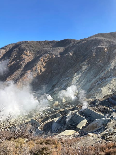 Tokyo: Mt. Fuji and Hakone Tour with Cable Car and Cruise - Wheelchair and mobility notes that affect comfort