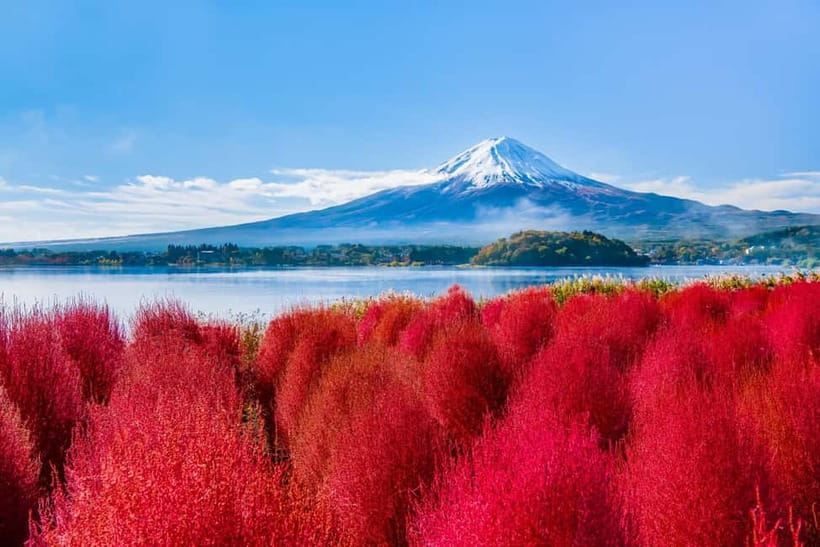 Tokyo: Mt. Fuji, Arakurayama Sengen Park, Oshino Hakkai Tour - One Long Day With a Practical Route From Shinjuku