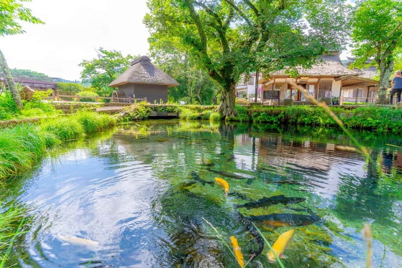 Tokyo: Mt. Fuji, Arakurayama Sengen Park, Oshino Hakkai Tour - Oishi Park Weekday-Only Reality, and How It Affects Your Plan