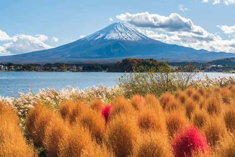 Tokyo: Mt. Fuji, Arakurayama Sengen Park, Oshino Hakkai Tour - Timing, Transport, and Why This Tour Feels Worth It