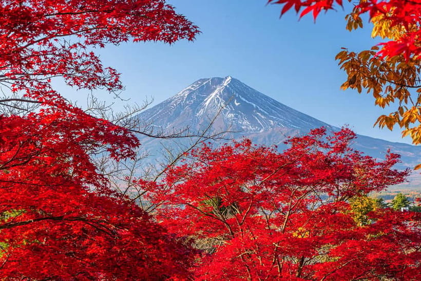 Tokyo: Mt. Fuji, Arakurayama Sengen Park, Oshino Hakkai Tour - Arakurayama Sengen Park: Pagoda Views That Change With the Season