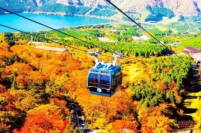 Tokyo: Mt. Fuji Cruise & Hakone Ropeway Day Trip by Bus - Lake Ashi, the pirate-ship cruise, and the floating torii photo you came for