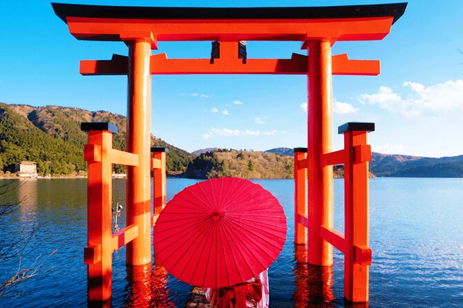 Tokyo: Mt. Fuji Cruise & Hakone Ropeway Day Trip by Bus - Shinjuku pickup, comfortable ride, and what you should plan for