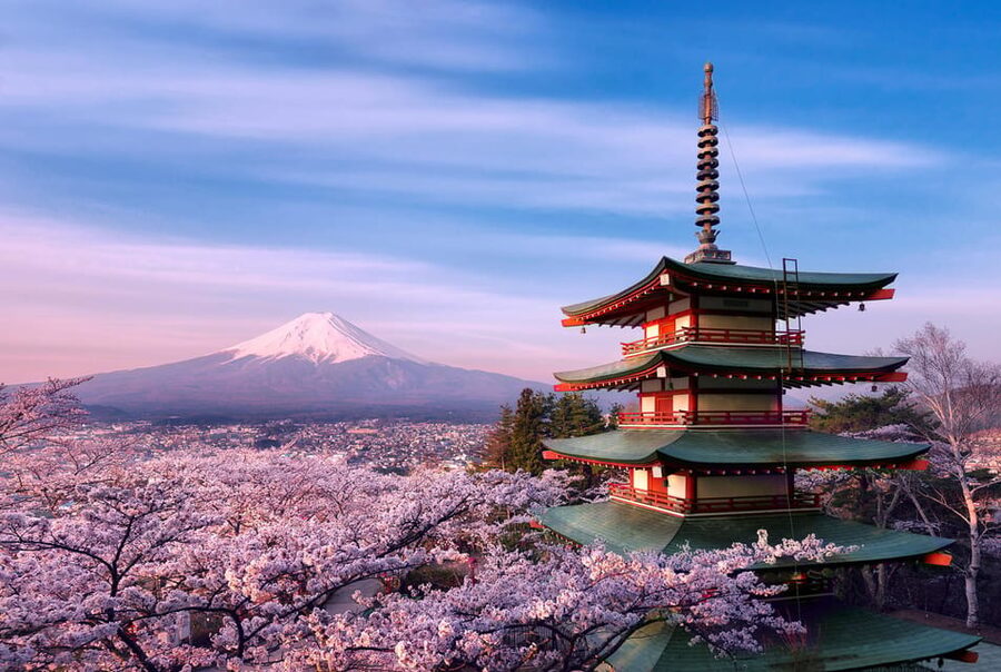 Tokyo:Mt Fuji & Hakone Day Tour with English Speaking Driver - Key highlights worth knowing