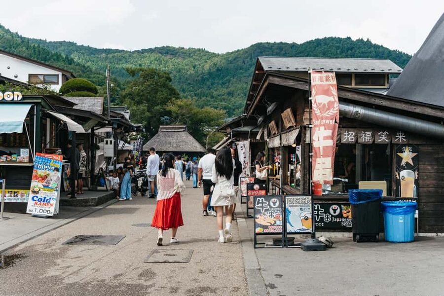 Tokyo: Mt. Fuji, Kamakura, Big Buddha, & Lake Ashi Day Trip - Final Mount Fuji Sightseeing: Plan for Clouds, Hope for Magic