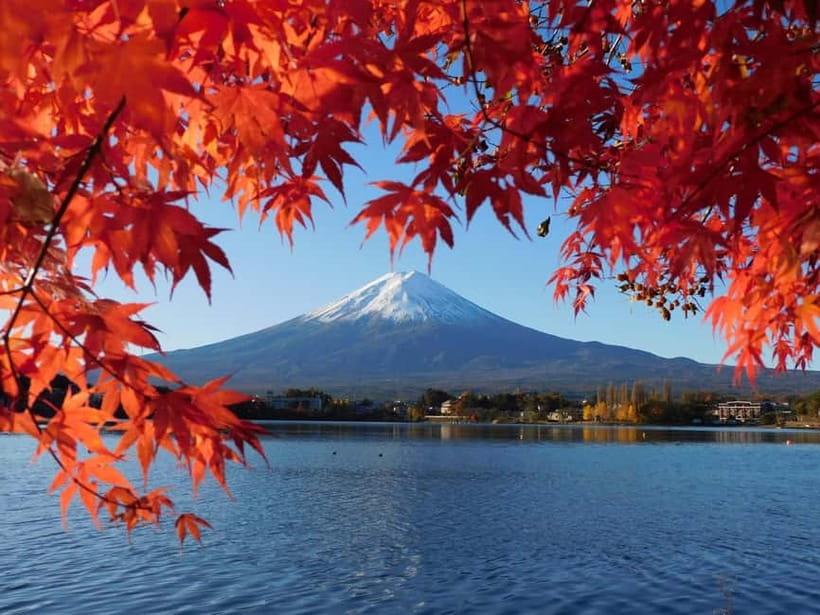 Tokyo:Mt.Fuji,Kawaguchiko Oishi Park,Arakurayama Sengen Park - Getting From Tokyo Into Fuji Country (Without the Headache)