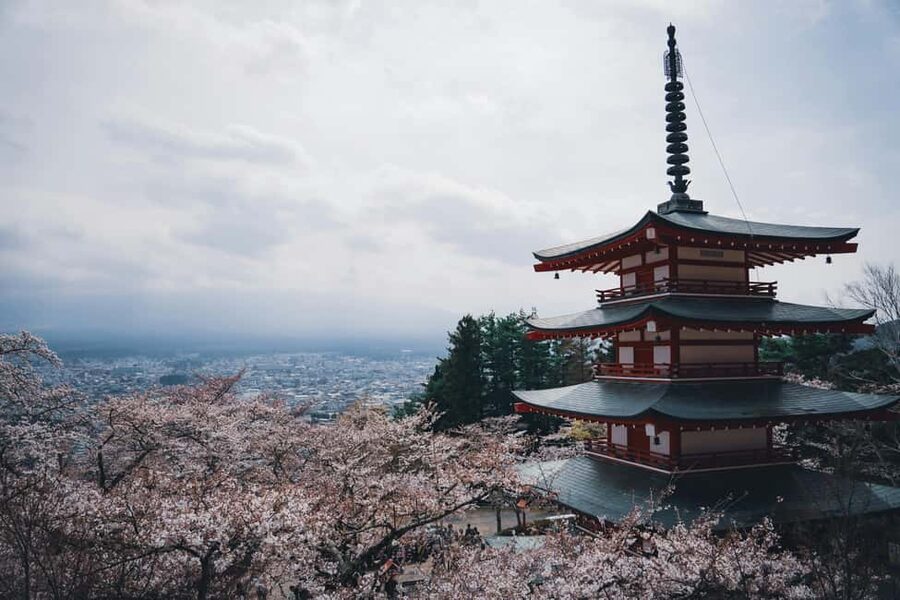 Tokyo: Mt. Fuji & Lake Kawaguchi Private Tour with Transfer - Chureito Pagoda: The Photo Stop That Can Feel Too Short