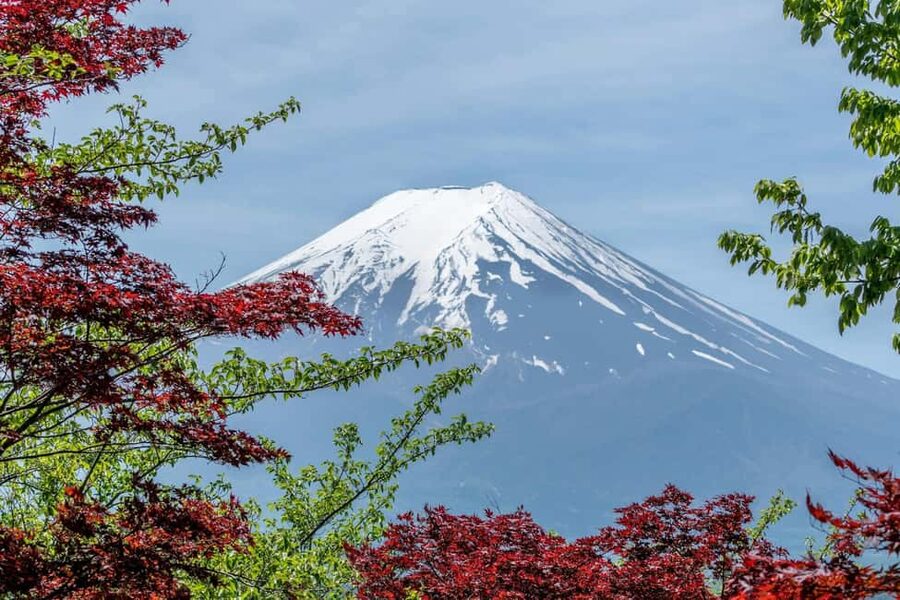 Tokyo: Mt. Fuji & Lake Kawaguchi Private Tour with Transfer - Oshino Hakkai: Small Water Scenes With Big Atmosphere