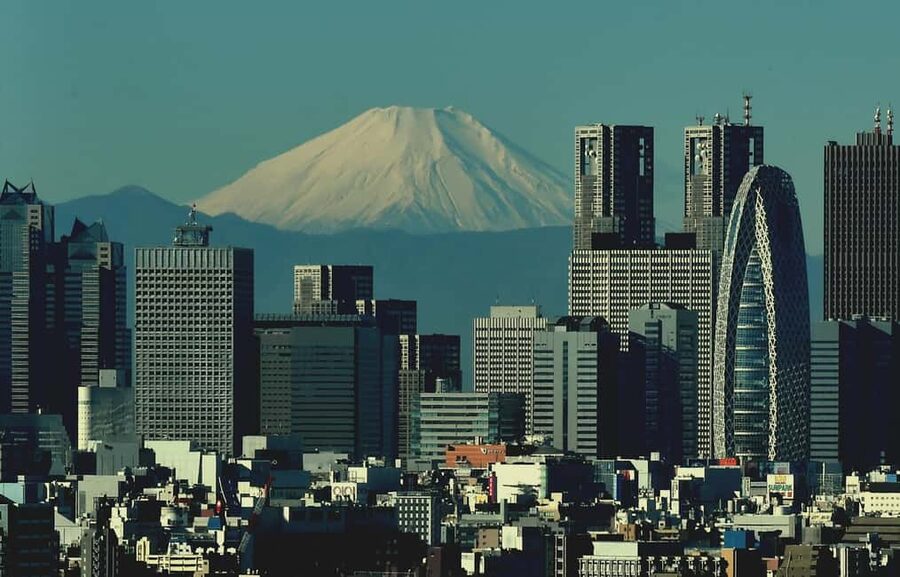 Tokyo: Mt. Fuji & Lake Kawaguchi Private Tour with Transfer - Price and Logistics: What $435 Really Covers