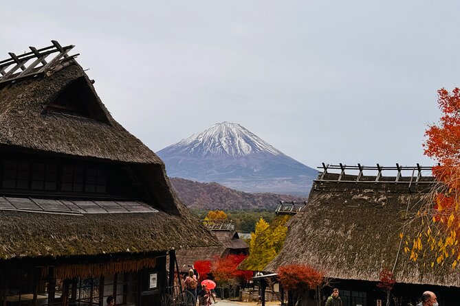 Tokyo: Mt.Fuji & Lake Kawaguchiko 1-Day Bus Tour w/Optional Lunch - Saiko Iyashi no Sato Nenba: Thatched Roofs by Lake Saiko