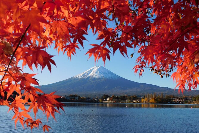 Tokyo: Mt.Fuji & Lake Kawaguchiko 1-Day Bus Tour w/Optional Lunch - The 398-Step Break: Niikurayama Asama Park Observation Deck