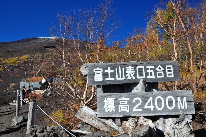 Tokyo: Mt. Fuji, Oshino Hakkai and Gotemba Outlets 1-Day Bus Tour - Key highlights worth marking on your map