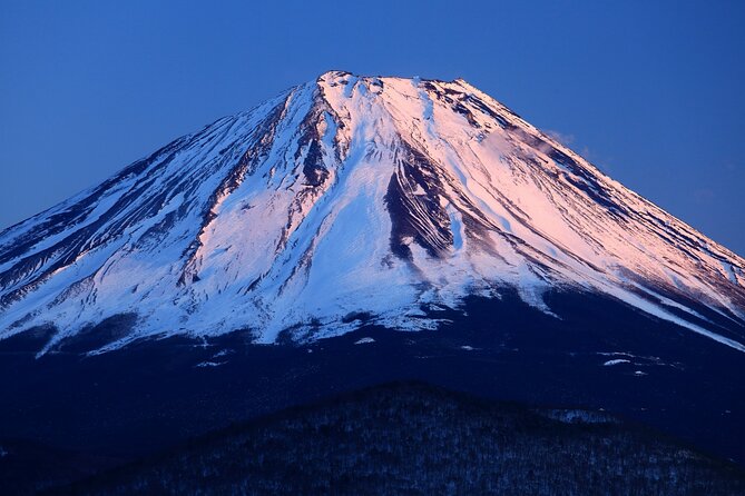 Tokyo: Mt. Fuji, Oshino Hakkai and Gotemba Outlets 1-Day Bus Tour - Mount Fuji 5th Station, Your Bus-Accessible Viewpoint