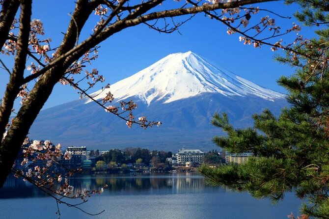 Tokyo: Mt. Fuji, Oshino Hakkai and Gotemba Outlets 1-Day Bus Tour - Oshino Hakkai’s Eight Ponds, Quiet Time With Fuji-Fed Water
