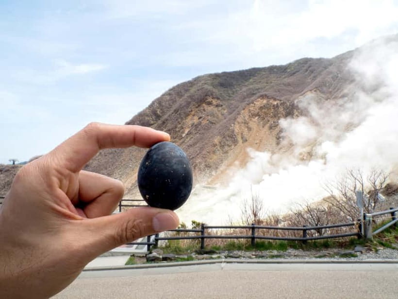 Tokyo: Mt. Fuji, Owakudani, Hakone Shrine, & Open-Air Museum - Why This Hakone Day Tour Works From Tokyo