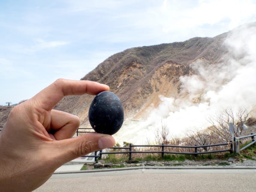Tokyo: Mt. Fuji, Owakudani, Hakone Shrine, & Open-Air Museum - Should You Book This Hakone Day Trip?