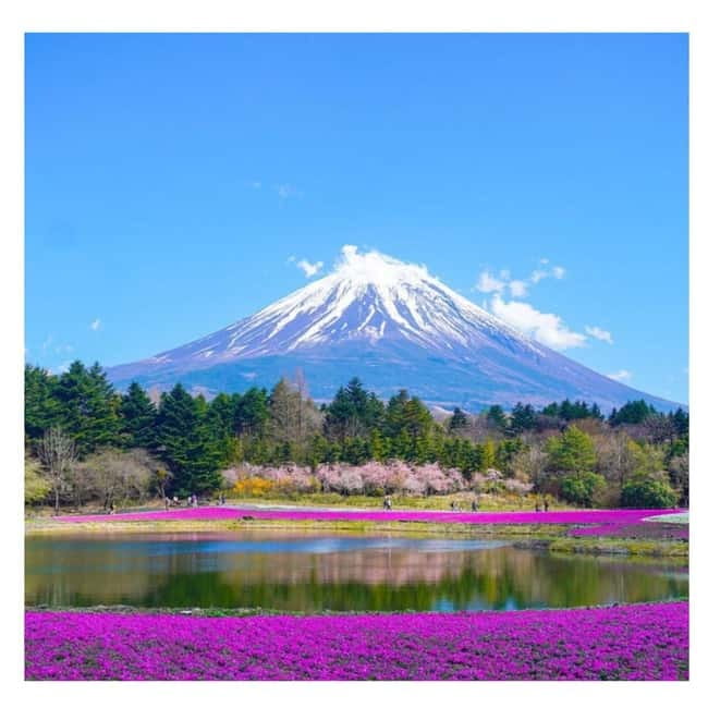 Tokyo: Mt Fuji Private Day Tour By English Driver Low Price - The Tokyo Pickup That Sets the Tone