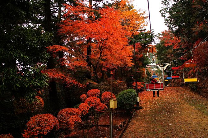 Tokyo: Mt Takao Tour with Ramen and Tattoo-Okay Hot Spring - Key highlights that make this tour worth your time