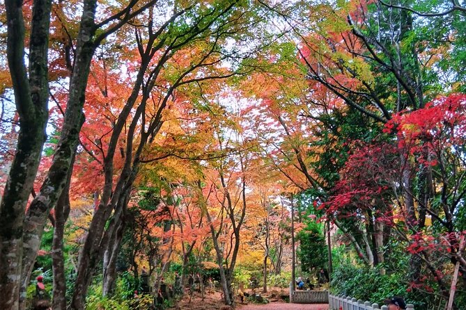 Tokyo: Mt Takao Tour with Ramen and Tattoo-Okay Hot Spring - Getting to Takaosanguchi, and why this day starts on the right foot