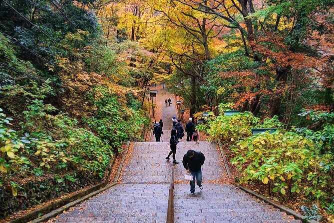 Tokyo: Mt Takao Tour with Ramen and Tattoo-Okay Hot Spring - Cable car or chair lift up Mt Takao: fast altitude, then real walking