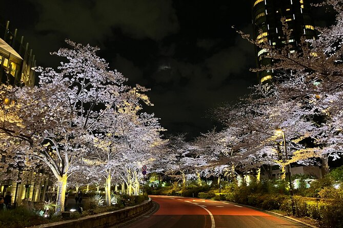 Tokyo Night Bike Tour: From Shibuya to Tokyo Tower via Roppongi - What makes this Tokyo night route special