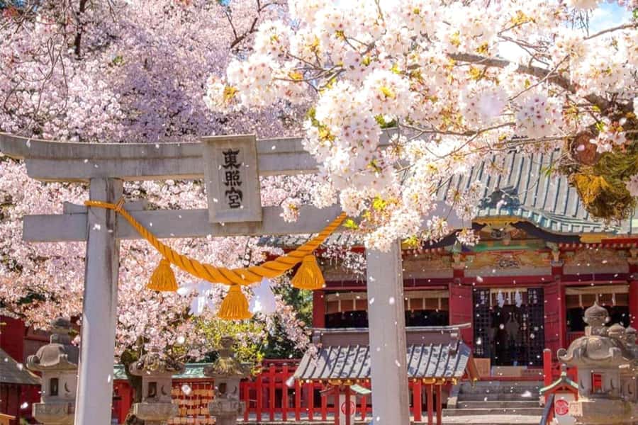 Tokyo: Nikko Day Tour Shrines, Lake Chūzenji & Kegon Falls - Comfort details that matter more than you think