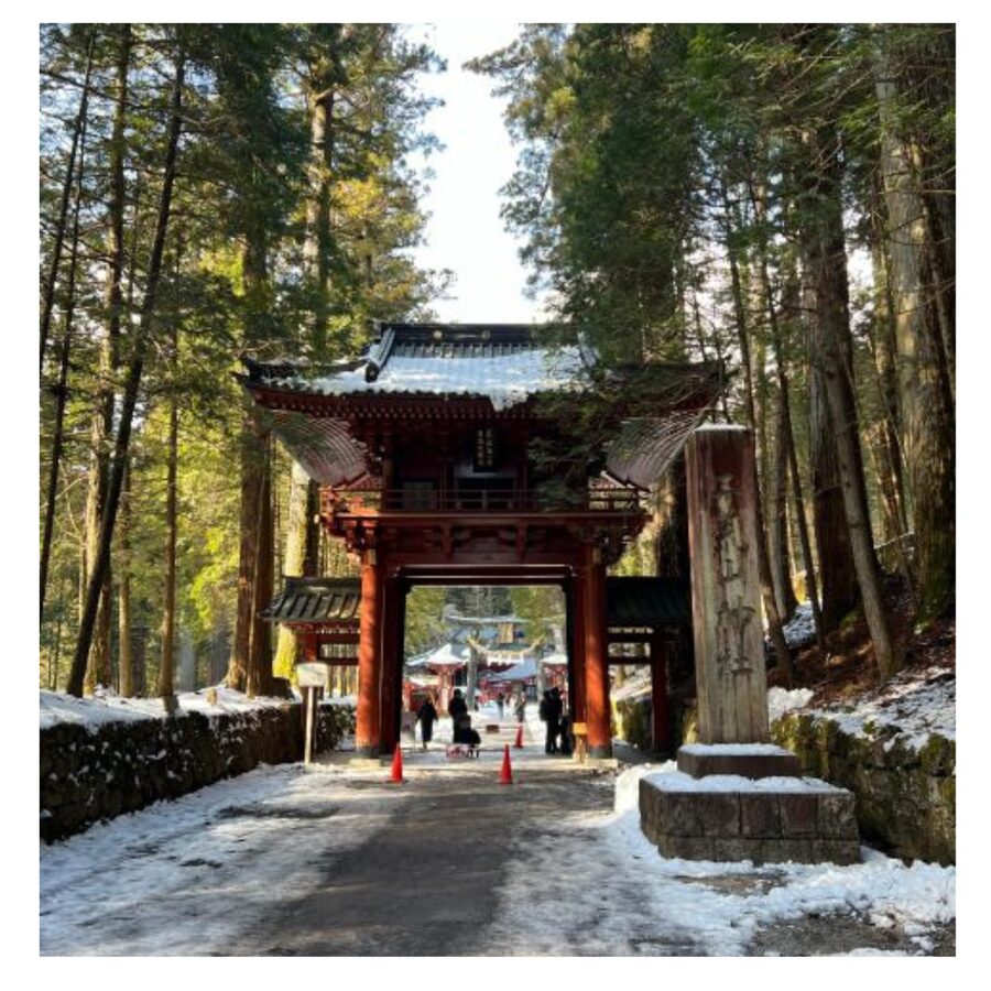 Tokyo: Nikko Day Tour Shrines, Lake Chūzenji & Kegon Falls - A few practical things to pack and remember