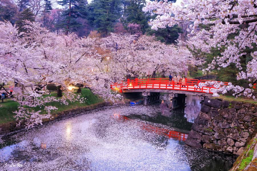 Tokyo: Nikko Day Tour Shrines, Lake Chūzenji & Kegon Falls - Price and value: $500 per group up to 6, but what you really get