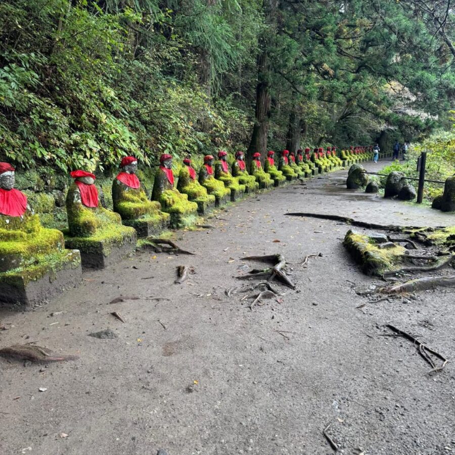 Tokyo → Nikko:Private Customizable Day Trip (English Driver) - Nikko National Park: Forest, Trails, and Wildlife-Friendly Time
