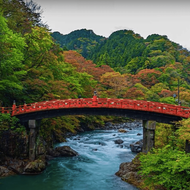 Tokyo → Nikko:Private Customizable Day Trip (English Driver) - Nikko Tōshōgū Shrine: When Detail Becomes the Attraction
