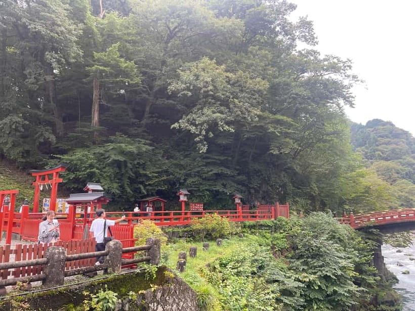 Tokyo: Nikko Private Customize Tour English Driver & Guide - Key points worth knowing before you go