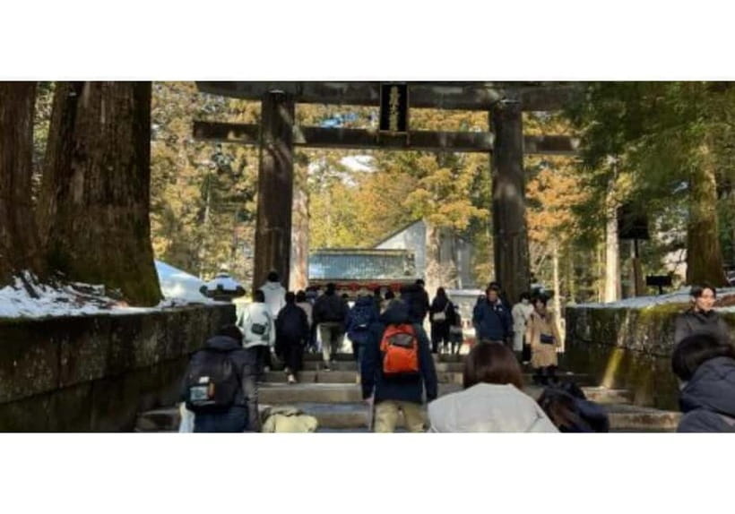 Tokyo: Nikko World Heritage Private Day Trip Hotel Pick-up - Key things I’d zoom in on