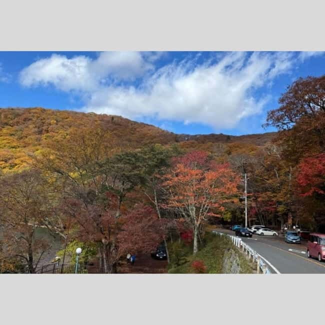 Tokyo: Nikko World Heritage Private Day Trip Hotel Pick-up - Why Nikko Feels Different When You Start From Tokyo
